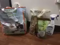 可愛倉鼠求領養