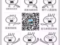 中国网购，散货拼箱 集运 转运 整柜海运新加坡，包双清到门--绝对一手庄家 