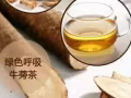 green breathing burdock tea绿色呼吸牛蒡茶