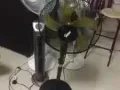 九成新风扇便宜出，要的看过来。