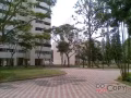 █████2+1 金文泰大牌5xx整套出租 月租2200 电9877 2877