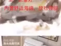 半賣半送大的真皮舒適豪華雙人床
