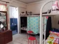 淡滨尼女搭房地铁5分钟，