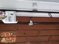 长期招发传单人员