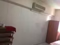 淡滨尼81街大牌大牌889 有大普通房 女生搭房出租 四人一间250