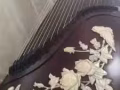 古筝入门教学