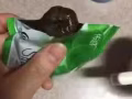 随便果空运直邮新加坡
