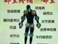 专业调理颈肩腰腿痛*白云山唯一精油喷喷就好