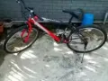 本人近期回国了！低价出售自行车