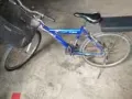 自行车便宜处理50元，送锁，送打气筒。裕廊东自取