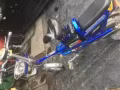 電動腳踏車550。  湖畔