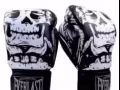 全新Everlast 拳击泰拳手套 黑色骷髅版