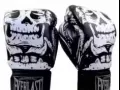 全新Everlast 拳击泰拳手套 黑色骷髅版