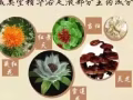 ✔✔✔泡泡腳.疾病少.養生從這裡開始!!!