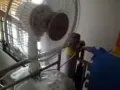二手风扇 