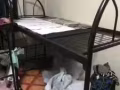 双人铁床