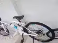 全新自行车转让