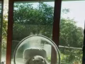 搬家，物品运输，全天全岛送货