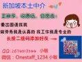 新加坡人力资源 国家企业认证 工作有保障 收费低 出境快 效率高 工资高