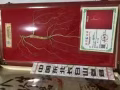 低售中高档野山参