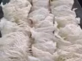 美人燕窝