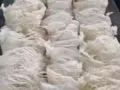 美人燕窝