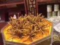 冬蟲夏草營養品