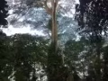 求租波东巴西 阿裕尼附近房间