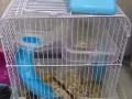 仓鼠笼子➕鼠免费送 