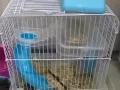 仓鼠笼子➕鼠免费送 