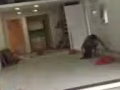 專業油漆 各種顏色 各種牆面 油漆性質 室內所有裝修 地面處理