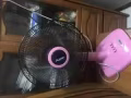 一律10元