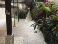 巴耶利岜地铁站二分钟高级公寓主人房短期出租，随时入住，电85152251