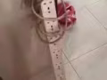 因回国出售所有东西