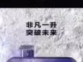 vivo nex 全新 代购