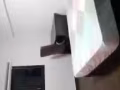 大牌 28 Marsiling Drive 普通房出租