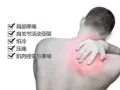 背部酸痛？疲劳乏力吗？