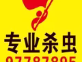 专业骗人的！ 专杀臭蚊蝇！壁虎！杀绝后付款！