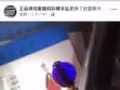 纯正千年斑彩螺 万年蜜蜡 琥珀 白南红 血蜜蜡