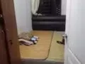 靠近文理地铁站小单间出租