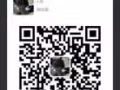 公寓猫咪寄养，