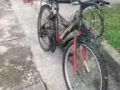 自行车