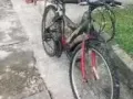 八成新自行车低价转让