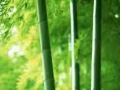 按摩美容师订单！实时更新！收费低办理快！不成功不收费！微信ls7347086