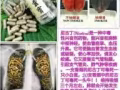纯天然草本精华马六甲土特产