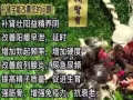 纯天然草本精华马六甲土特产