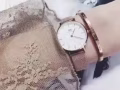 DW正品手表