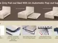 3 in 1 pull out bed 