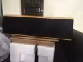 日本先鋒音響