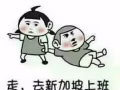 sp,包包销售员，综合2400新币，微信17391989118